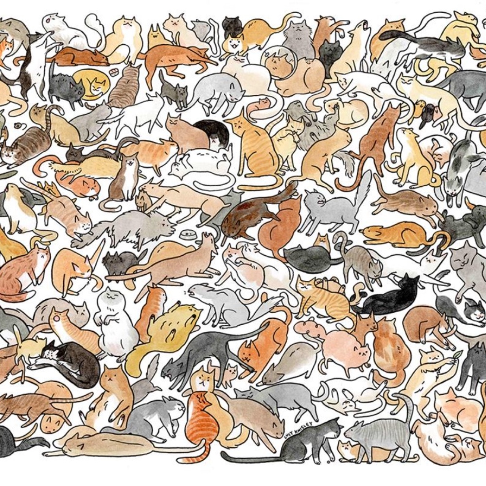 Meet your Posher, Katie